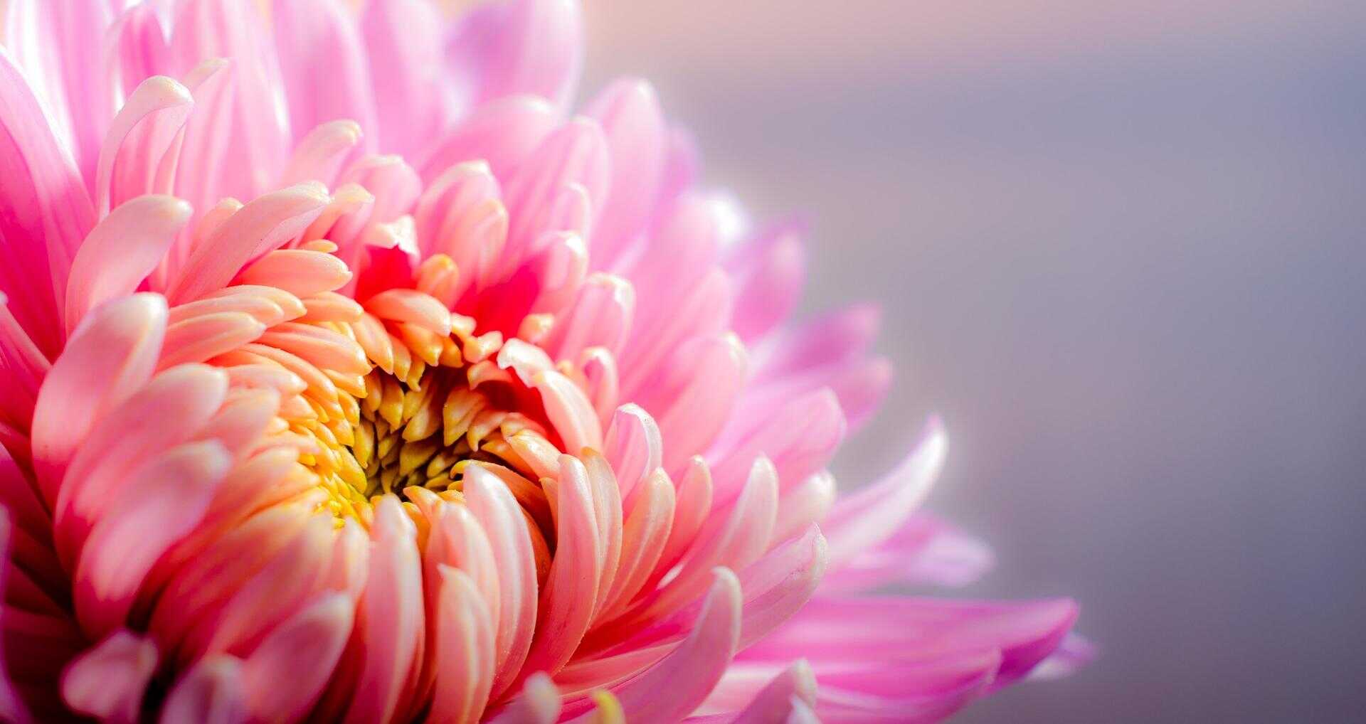 zoom event flowers