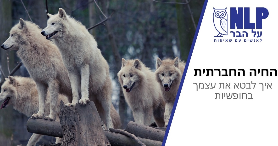 לשכת רו