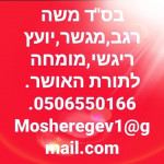 משה רגב